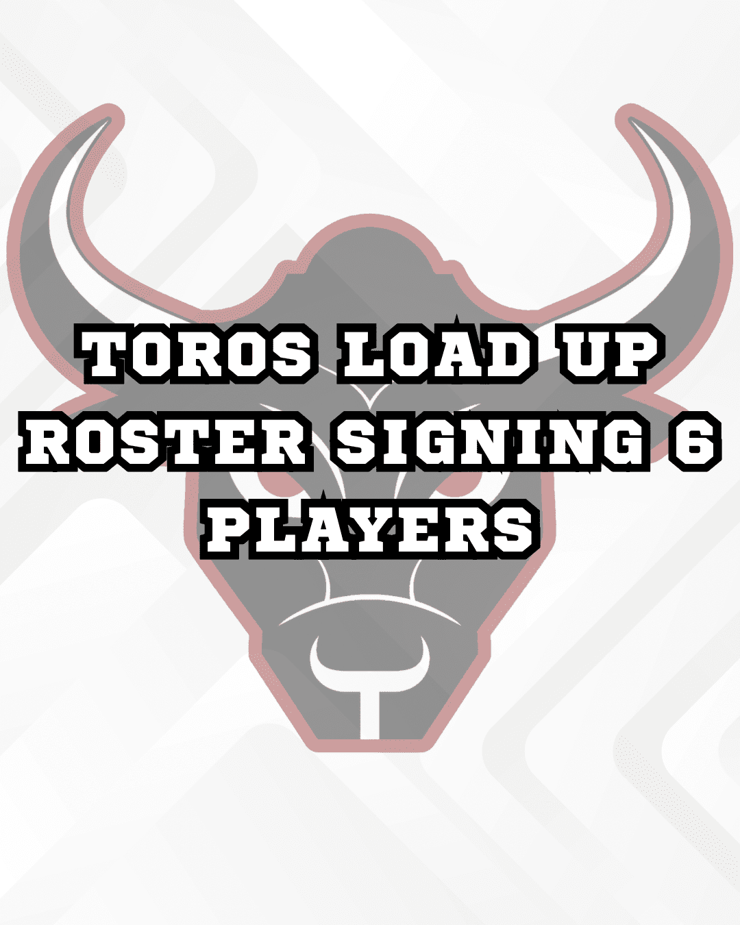 Toros Logo And Article Title
