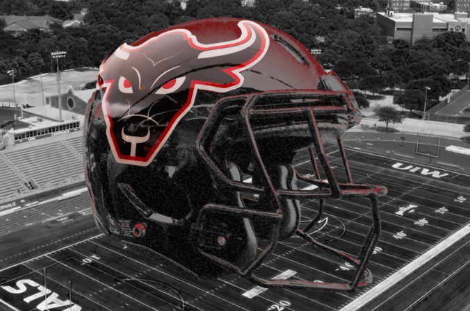 Toros helmet