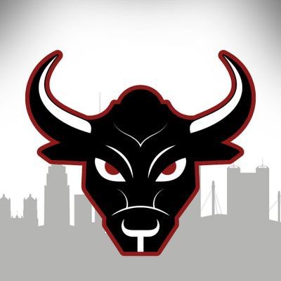 Toros City Logo